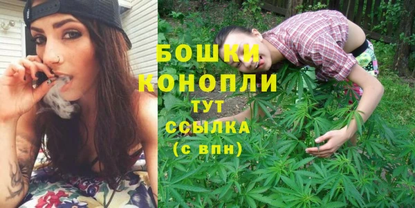 трава Бородино