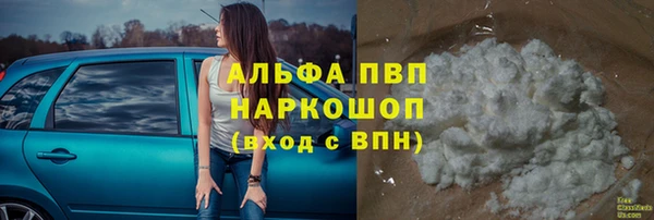 сатива Бронницы