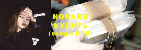 трава Бородино