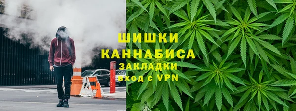 трава Бородино
