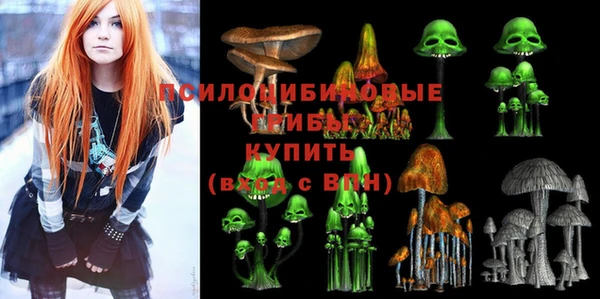 сатива Бронницы