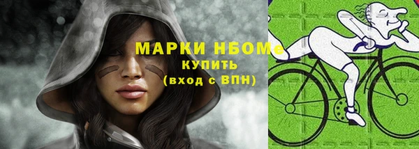 сатива Бронницы