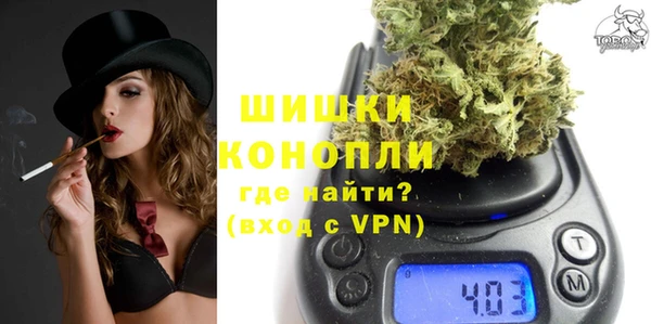 сатива Бронницы