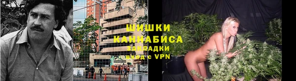 сатива Бронницы
