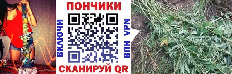Бошки марихуана VHQ  сколько стоит  Пойковский 